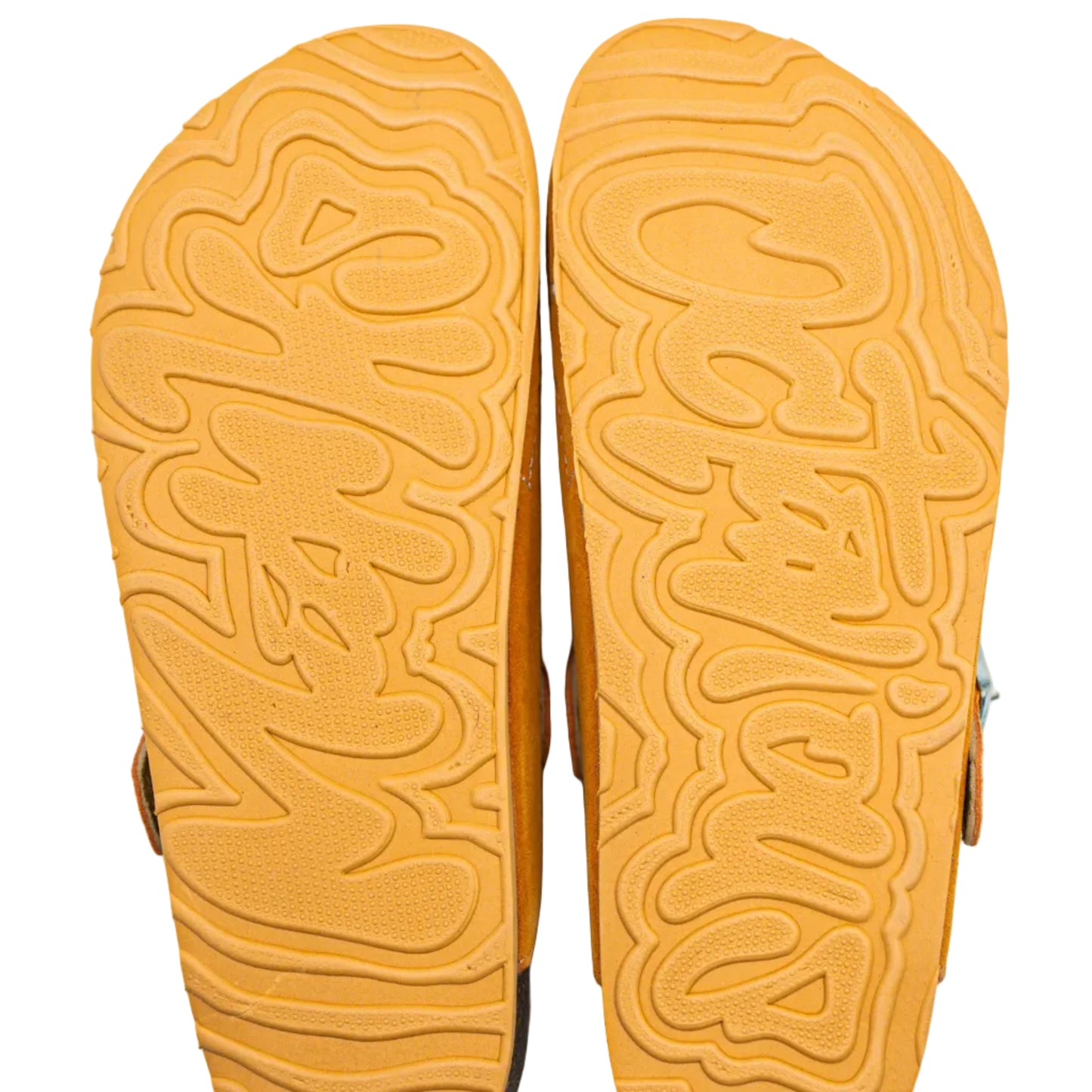 Orange Lobsters