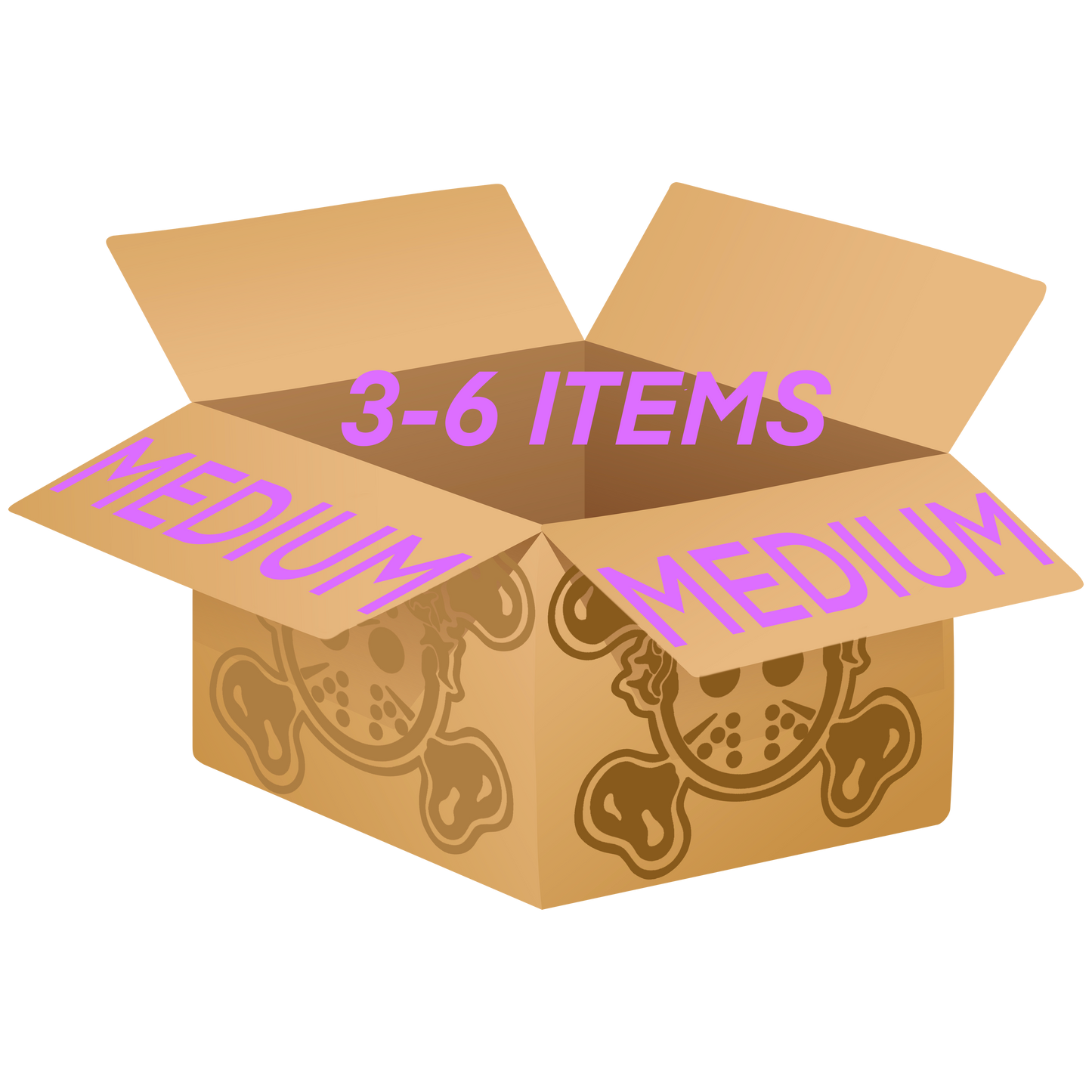 Medium Mystery Box